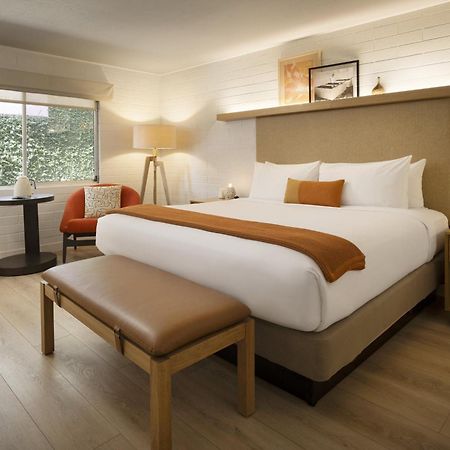 Dr Wilkinsons Backyard Resort And Mineral Springs A Member Of Design Hotels Calistoga Dış mekan fotoğraf
